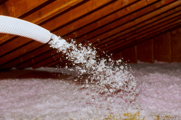 Best Insulation Installation Cost  in Rosamond, CA