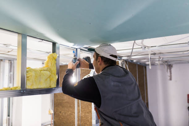 Best Insulation Replacement Services  in Rosamond, CA