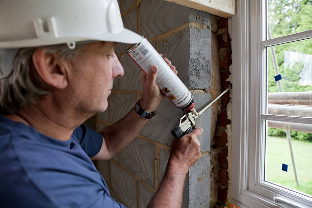 Best Professional Insulation Contractor  in Rosamond, CA