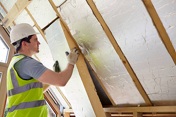 Best Insulation Contractors for Homes  in Rosamond, CA