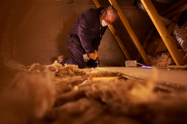Best Insulation for New Construction  in Rosamond, CA